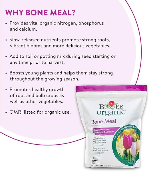 Burpee Bone Meal Fertilizer | Add to Potting Soil | Strong Root Development | OMRI Listed for Organic Gardening | for Tomatoes, Peppers, and Bulbs, 1-Pack, 3 lb (1 Pack)