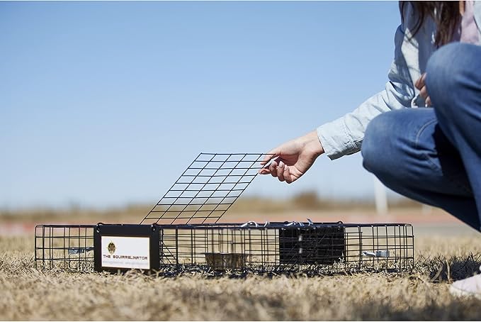 Rugged Ranch Squirrel Trap, Live Animal Catch & Release Cage, Squirrelinator, Black - Humane Indoor and Outdoor Catcher for Chipmunks and Squirrels