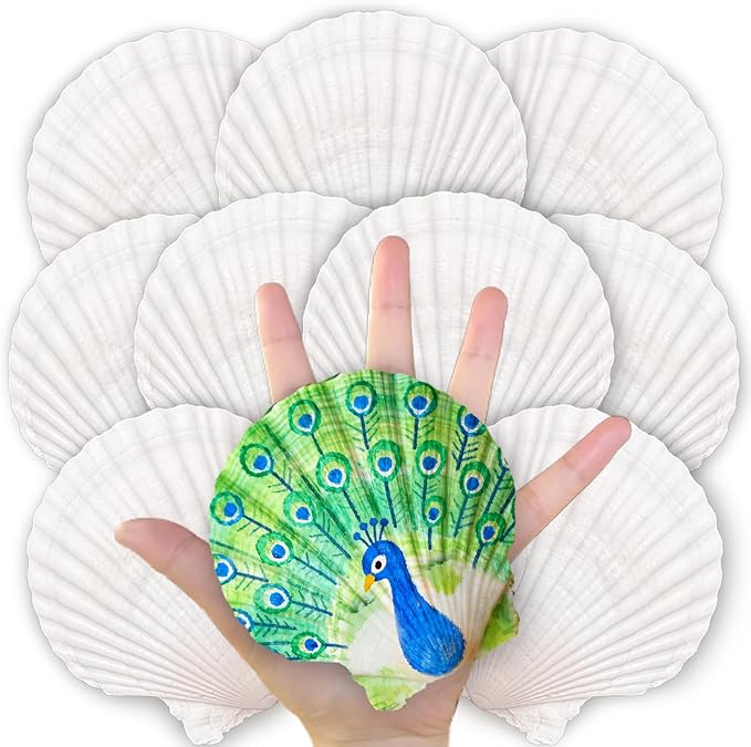 20PCS Large Scallop Shells for Crafts, 4-5 Inch Natural Sea Shells for Decorating, White Seashells Bulk for DIY Crafting, Painting, Baking, Ocean Themed Party Supplies & Decorations