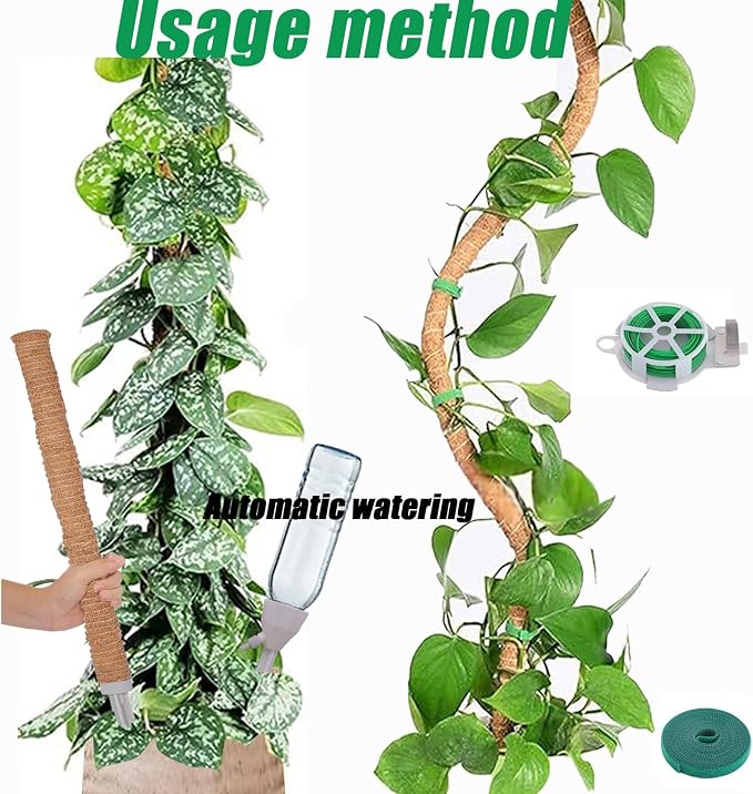 3-Pack Tall Moss Poles (50 Inch) - Coco Coir Plant Support Sticks for Potted Plants (Monstera, Pothos, Philodendron)
