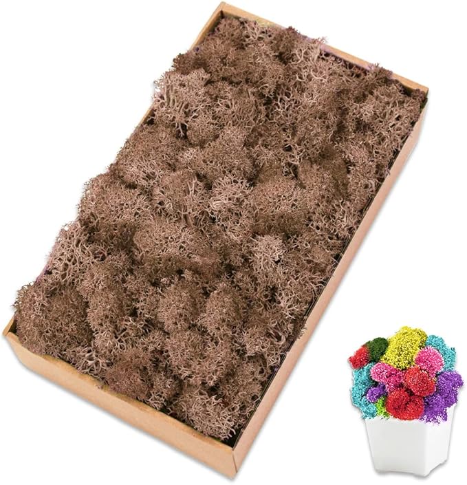 Preserved Reindeer Moss 7 OZ Brown Natural for Crafts, DIY Gift Christmas Decor, Wall Art, Potted Plants, Floral Fake Moss for Easter Table Decor Wedding Decorative(7OZ, Brown)