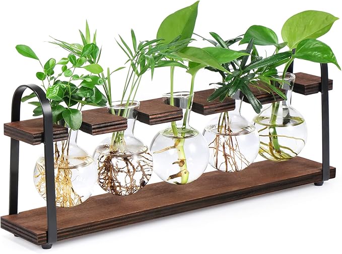 THYGIFTREE Desktop Plant Propagation Stations, Tabletop Retro Plant Terrarium for Indoor Hydroponic Plants Flowers, Plant Lover Gifts
