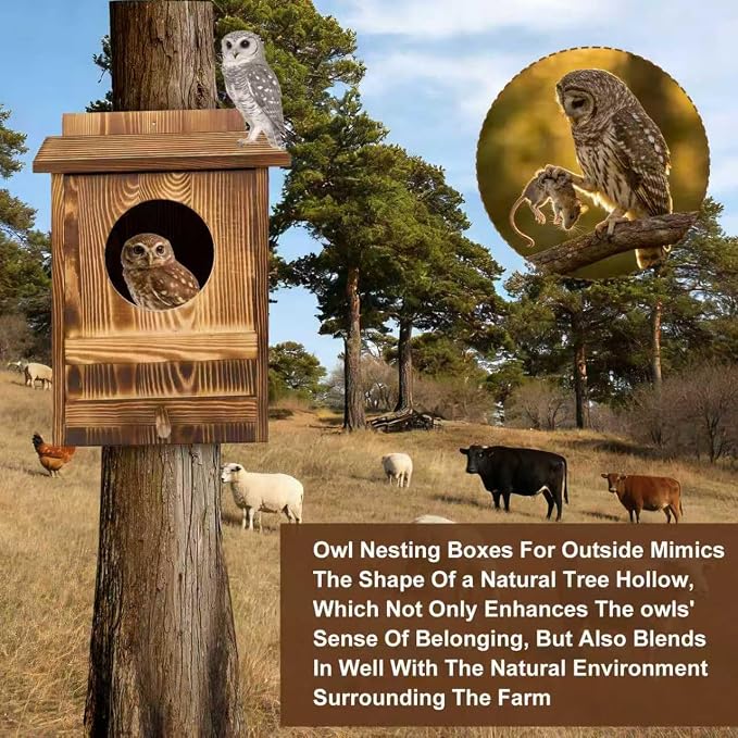 2PCS Owl Houses for Outdoors, 16.1x11.8x9.5-inch Large Carbonized Owl Nesting Boxes for Outside, Waterproof & Ventilated Design， Designed Specifically for Owls and Wildlife Nesting