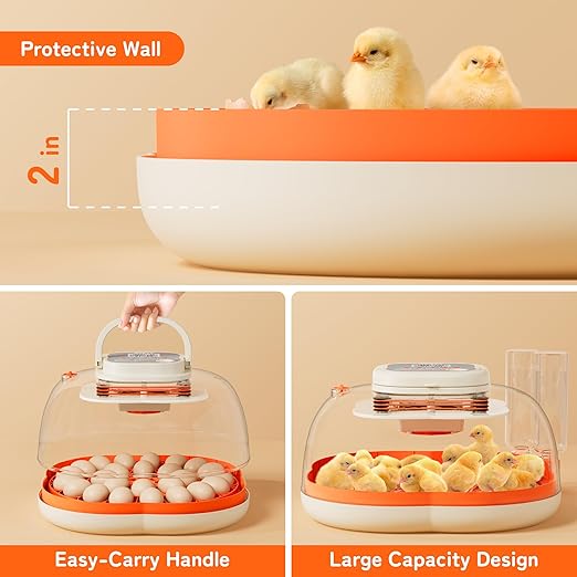 APDOE Egg Incubators for Hatching Eggs, Temperature and Humidity Control, Automatic Egg Turning, Egg Candler, External Water Bottle, Air Vent, for Chicken, Duck & Quail Eggs, 25 Eggs