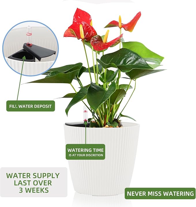 Dexceder 9x8 Self Watering Planters Indoor (2 Pack, White) | Inner Mat Design, Table Flower Plant Pot with Water Level Indicator