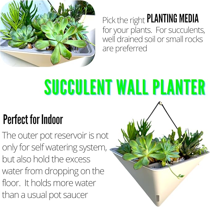 LaLaGreen Bundle- 2 Pack, 12 Inch White Geometric Self Watering Pot + 7 Pack, Small Medium Large Planter Rectangular Window Plastic Boxes Plant Herb Flower Holder Modern Stylish Hanging Indoor Decor