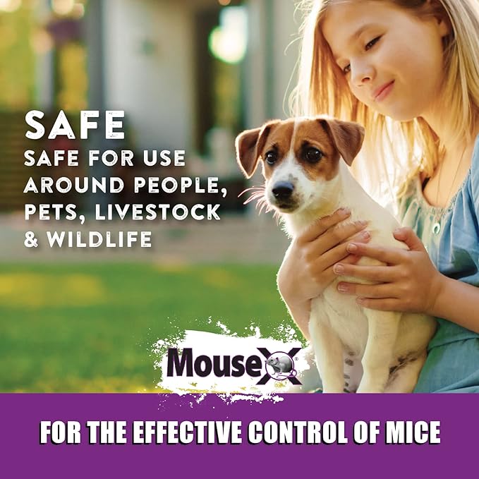 MouseX 1lb Bag, All-Natural Poison Free, Effective Against All Species of Rats and Mice - EcoClear Products