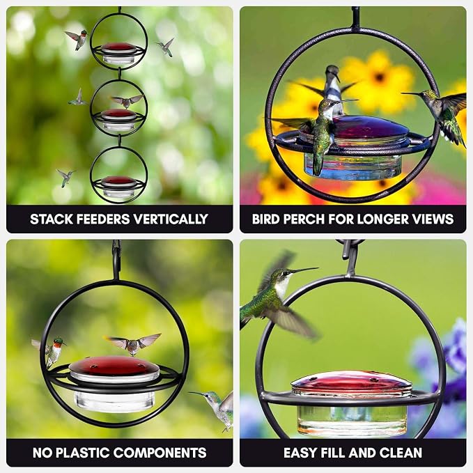Hummingbird Feeder for Outdoors Hanging, 3.4 OZ Hummingbird Feeders, Glass Bowl with 4 Feeding Ports, Leak Proof Lid & Circular Perch, Bird Feeder (1, Black)
