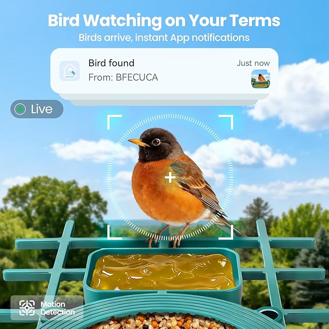 Smart Bird Feeder with Camera : 2K HD Video Live Stream, AI Birds Species Identification ＆ Instant Arrival Alerts, Solar Bird Feeder Camera for Outdoor Backyard, Ideal Gifts for Families nature lovers