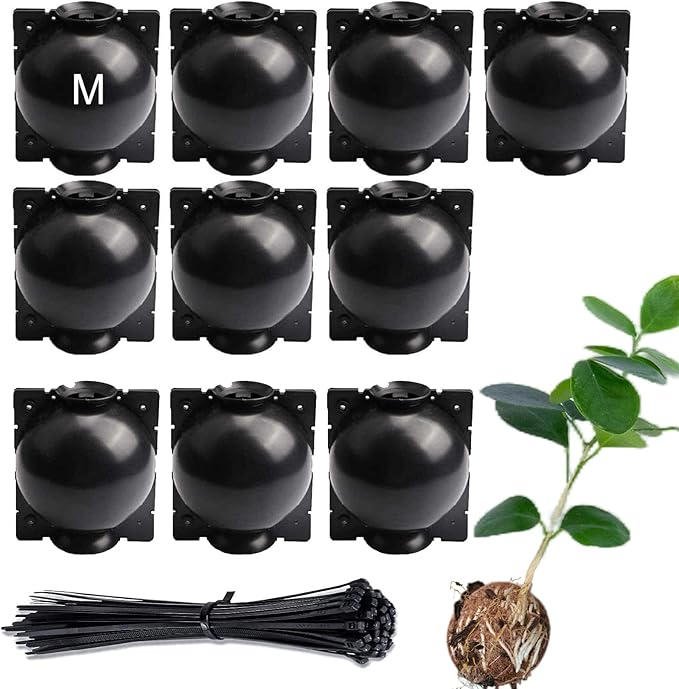 Tree Root Growing Box, Reusable Transparent Plants Asexual Reproduction Grafting Ball, High Pressure Air Layering Pods Propagation Kit (10pcs Meidum)