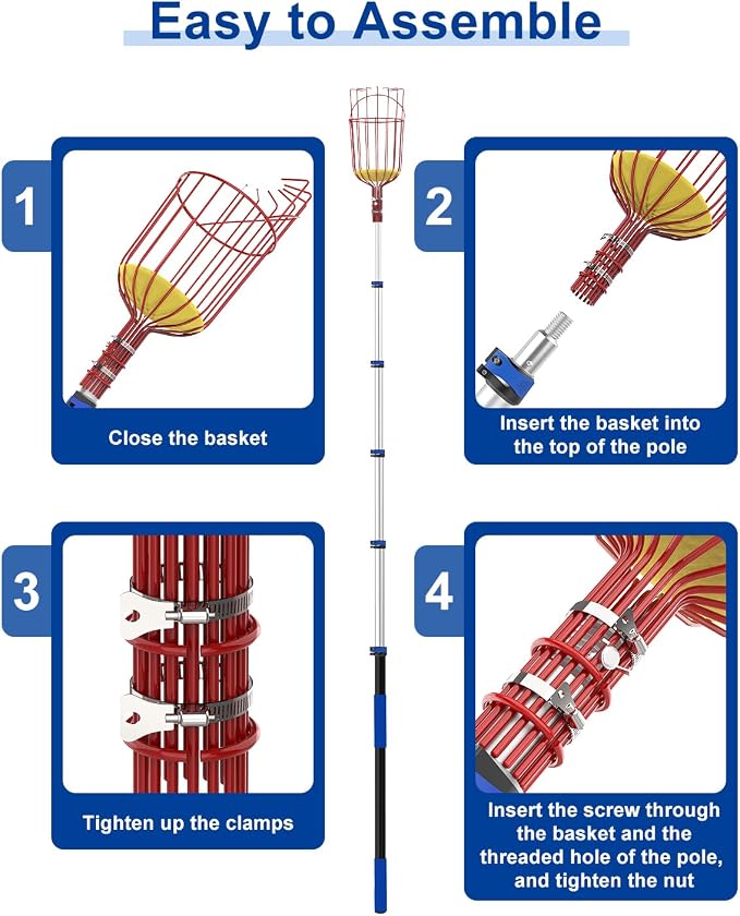 30FT Reach Fruit Picker, 5-24 Foot Sturdy Aluminum Telescoping Fruit Picker Extension Pole with Metal Twist-on Basket, Suit for Apple Pear Lemon Mango Guava Orange Avocados Tree Fruit Picking