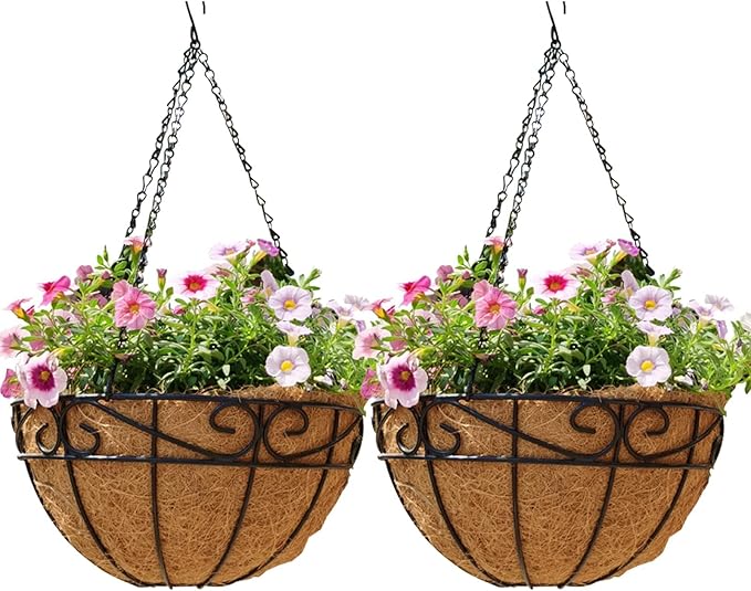 EIMQUVW Outdoor Metal Hanging Planters Basket (2pack, 14 inch) Hanging Baskets for Plants Chain Round Wire Plant Holder with Coco Fiber Liners for Garden, Patio, Deck, Porch(Flower Border)