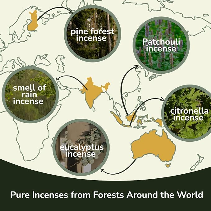 Tropical Forest Incense Variety Pack- 5 Scents: Citronella, Eucalyptus, Pine Forest, Smell of Rain & Patchouli | Charcoal-Free Natural Incense Sticks | Eco-Friendly Aromatherapy Gift Set