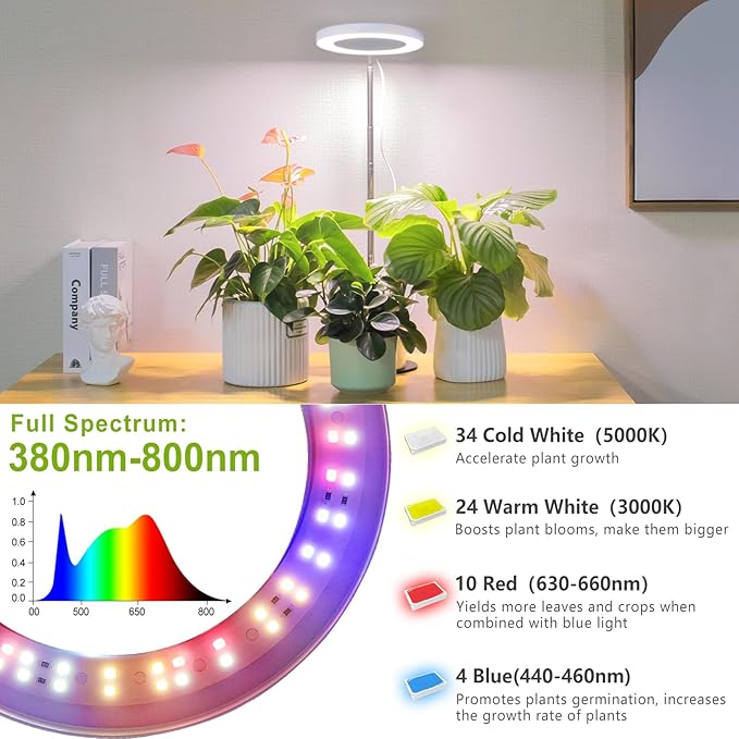 LORDEM Grow Light, LED Plant Light for Indoor Plants Growing, Full Spectrum Desk Growth Lamp with Automatic Timer for 4H/8H/12H, 4 Dimmable Levels, Height Adjustable 9.8"-30.6", 2 Pack