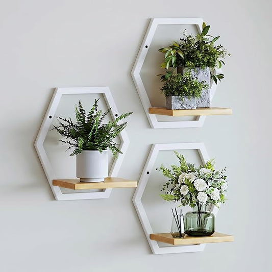 3 Pack Solid Wood & Heavy Duty Metal Wall Plant Stands,9 inch Natural Wood Shelf, Boho Arch Hanging Planter for Indoor 25 LB Load for Plants White