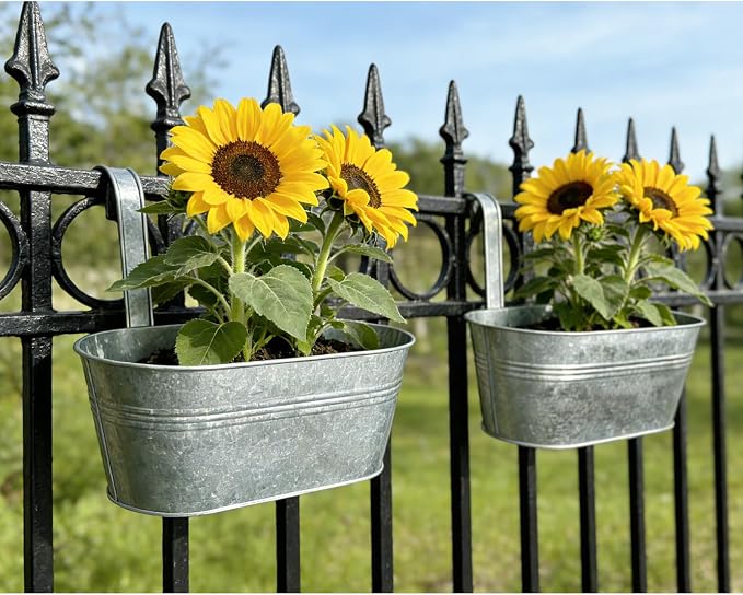 Balcony Galvanized Hanging Planters Railing Flower Pots, Outdoor Metal Fence Planter Pot with Detachable Hooks Drain Hole for Garden Patio Yard Decor (10 Inch, 6Pcs)