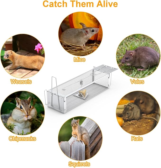 TeqHome 2-Door Humane Rat Cage Trap, Metal Live Animal Trap Cage, Small Humane Catch Release Rodent Cages, Upgraded Indoor & Outdoor Live Traps for Squirrels, Mouse, Rats, Mice - 16.6x6.1x4.33 Inches