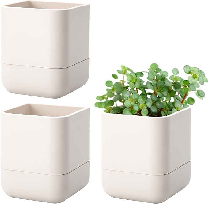 Phoenix Vine 4.5 Inch Wall Mounted Self-Watering Planter Pot for Indoor Houseplants and Herbs | Hanging Planter for Window Sills, Bathroom Walls, Home & Office Décor, Oatmeal, Set of 3, 01-B-G-3