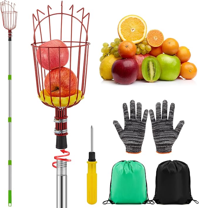 Colingmill 19.5ft Fruit Picker Pole with Basket, Telescoping Fruit Picking Tool with Soft Cushion, Extendable Harvester for High Trees, No Ladder Needed for Apple, Cherry, Orange, Citrus, Peach