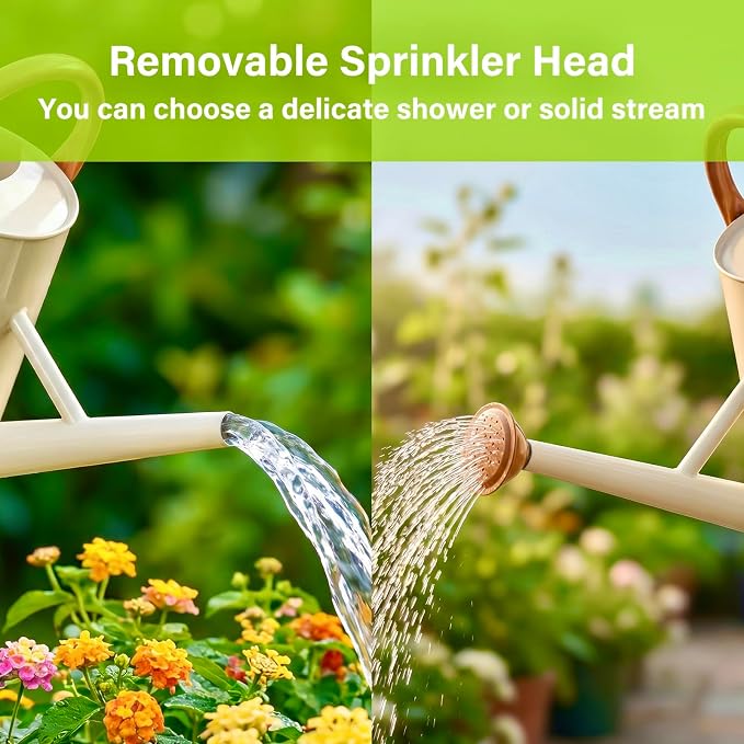 Watering Can for Outdoor&Indoor Plants，1.5 Gallon（5.7L） Metal Watering Can with with Removable Spout，Large Galvanized Steel Garden Flower Water Can Watering Pot with 2 Handles,Cream White