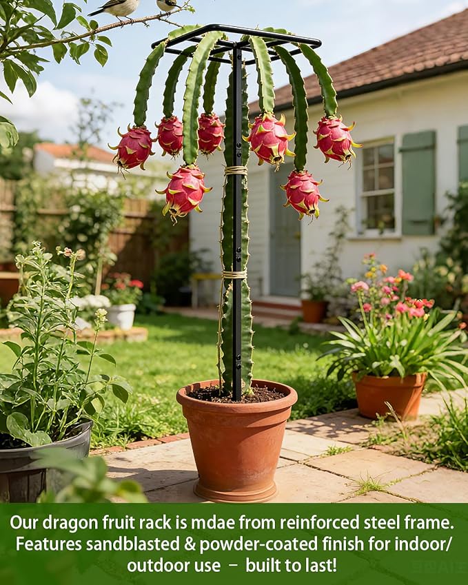 66''×16'' Heavy-Duty Metal Dragon Fruit Trellis, Adjustable Gardening Support Stand for Vertical Climing Plants,Trees,Cactus Garden Outdoor Indoor Potted Support