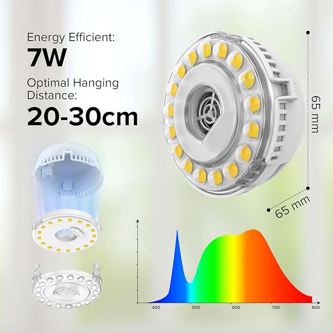 7W Grow Light for Indoor Plants, Full Spectrum Plant Light with Auto Timer (3/6/12H) & 4-Level Dimming, Small Led Grow Light for Seedlings, Succulents, Herbs