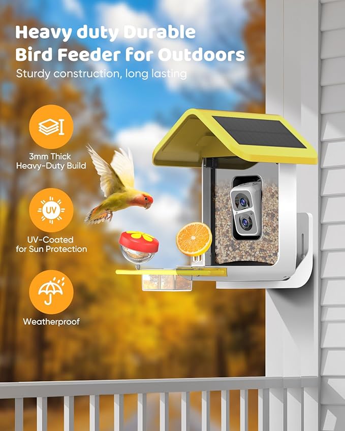 Bird Feeder with Camera Solar Powered : Smart Camera Bird Feeder 2K Live Feed Cam for Outdoor Backyard - Ai Identify Auto Capture Videos Pictures, Gifts for Birdlover Mom Dad, 2.4GHz WiFi