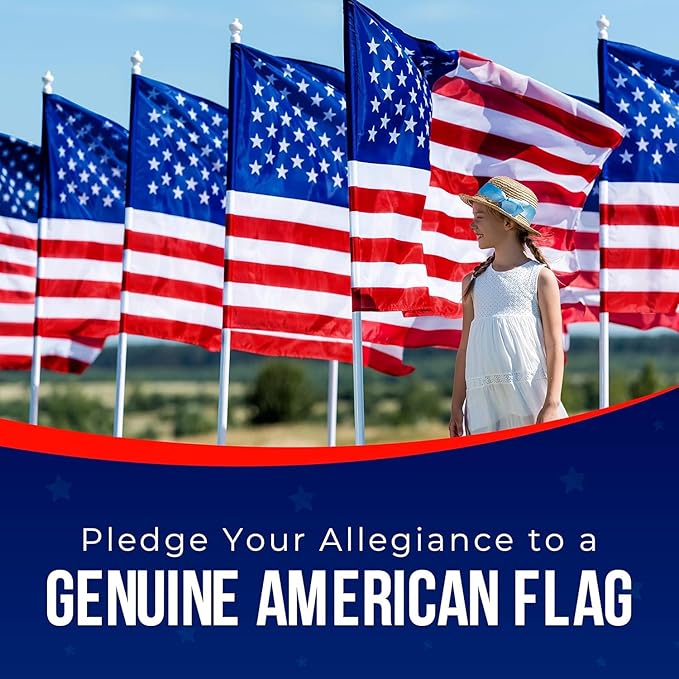 American Flag Made in USA | American Flags for Outside 3X5 | Premium US Flag 3X5 Heavy Duty Outdoor with Embroidered Stars and Sewn Stripes.