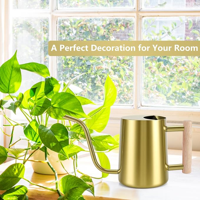 Watering Can Indoor Plants, 35oz Small Stainless Steel Metal Watering Can Modern Decorative Watering Pot with Long Spout for Indoor House Plant Bonsai Garden Flowers (Gold)
