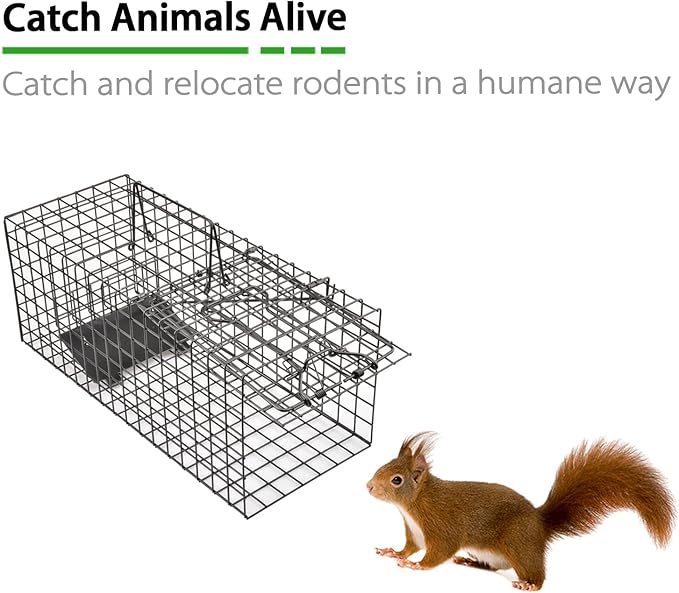 Live Squirrel Trap Heavy Duty Humane Animal Cage Trap (No Assembly Required)