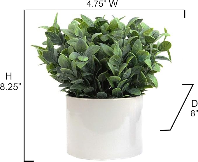 Admired by Nature 8.25" H Artficial Frosted Ruscus Ceramic Potted Plant Indoor Faux Plant décor, Wedding Centerpieces, Tabletop, Home Décor, Office Desk, Kitchen Table Décor or Decor for Shelves