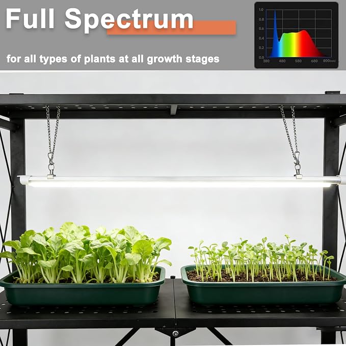 Indoor Greenhouse with Grow Light, 4-Tier Foldable Metal Plant Shelf with Full Spectrum 6000K Growing Lamps and Tent, Mini Greenhouse Cabinet with Timer for Seed Starting (28.2"x14.2"x50")