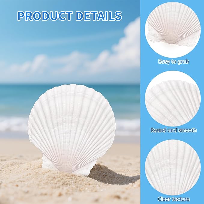 ReePlan 30PCS Large Scallop Shells for Crafts, 4-5 Inch Natural Sea Shells for Decorating, White Seashells Bulk for DIY Crafting, Painting, Baking, Ocean Themed Party Supplies & Decorations
