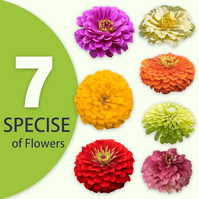 Zinnia Seeds Bulk 5,000+ | Outdoor Flower for Planting |Giant Zinnia Seeds for 2026 | Mixed Colors & Large Blooms for Gardens| High Germination, Beginner-Friendly