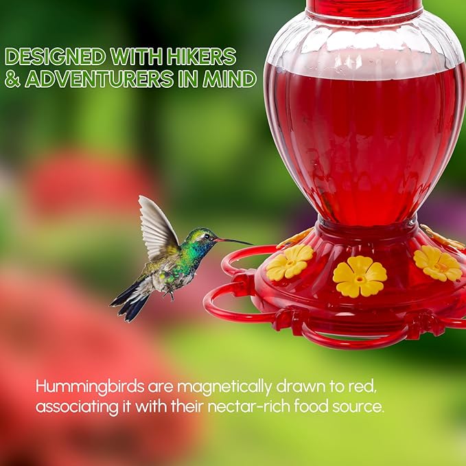 Hummingbird Feeder 20 oz Glass Hummingbird Feeders for Outdoors, with Built-in Ant Guard and Bee Proof - 6 Feeding Ports - Wide Mouth for Easy Filling/2 Part Base for Easy Cleaning