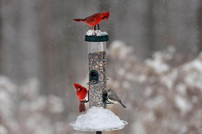 Brome Tube 200 Wild Bird Feeder, Metal, 6 Seed Ports, 3.4 lb Capacity, Extra-Wide Perches, Easy to Fill & Clean, Pole-Mountable, Seed Tray Available