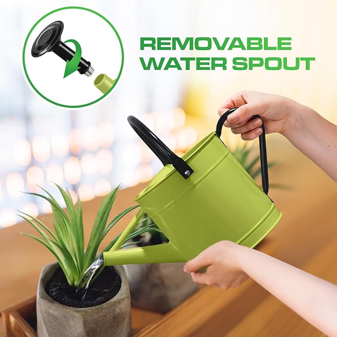 Plexon Metal Watering Can Outdoor 1 Gallon, Flower Plant Gardening Garden Large Green Watering Can Pot, Galvanized Steel Handles - Removable Spray Spout, Green
