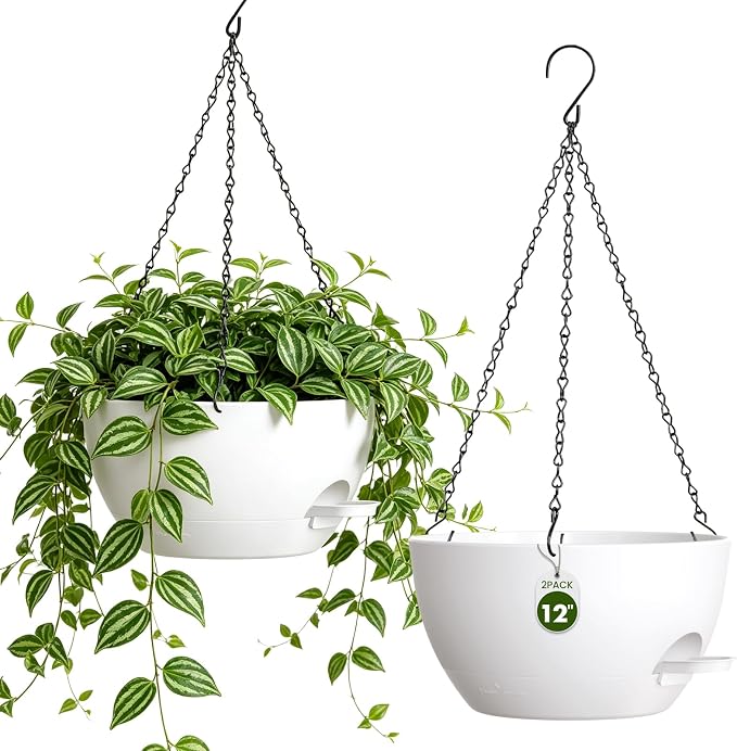 12 Inch Self Watering Hanging Planters, 2 Pack Plastic Plant Pots | Sturdy lightweight pot with side watering lip, drainage holes, snap-on detachable tray & hanging chain for easy care