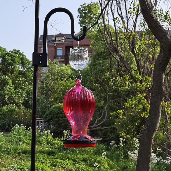 Glass Ant Moat for Hummingbird Feeder - 3 OZ Clear Tulip Insect Guard with Large Capacity