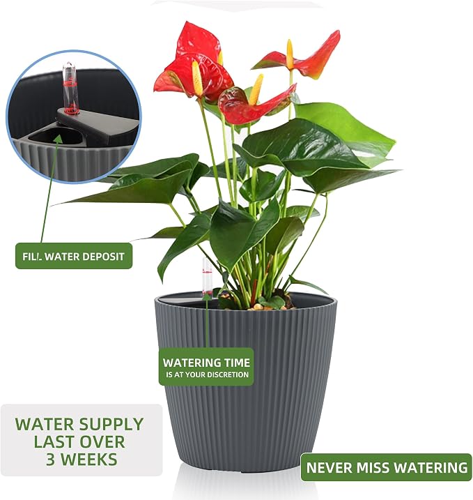 Dexceder 9x8 Self Watering Planters Indoor (2 Pack, Gray) | Inner Mat Design, Table Flower Plant Pot with Water Level Indicator