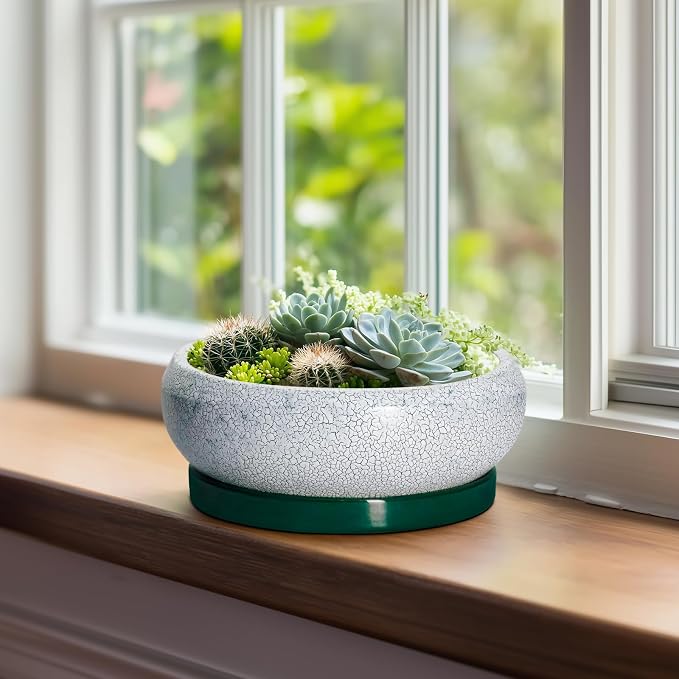 Bonsai Tree Pots - 8 Inch Ceramic Succulent Pot with Drainage Hole and Tray, Bonsai Pots, Shallow Planters for Indoor Outdoor, Round Planter Bowl, House Decor, Gifts for Plant Lovers, Green