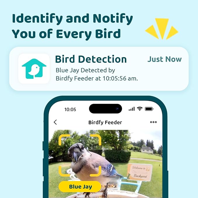 NETVUE Birdfy® Hummee Smart Hummingbird Feeder with Camera, Auto Capture Bird Videos & Birdwatching Up-Close, 2 in 1 Feeders Attract More Hummingbirds, Ideal Present for Bird Lover