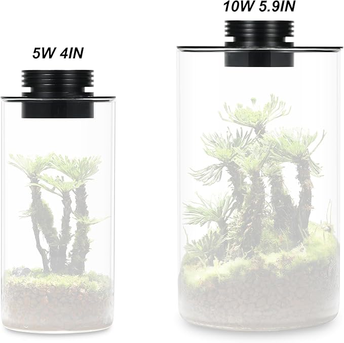 AREPK Glass Terrarium Plant Growing Lamp, for Vases Up to 4 Inches in Diameter, Light with Timer Auto On/Off, Indoor Plant Growth, Succulent, Miniature Gardening Landscape (5W 4IN)