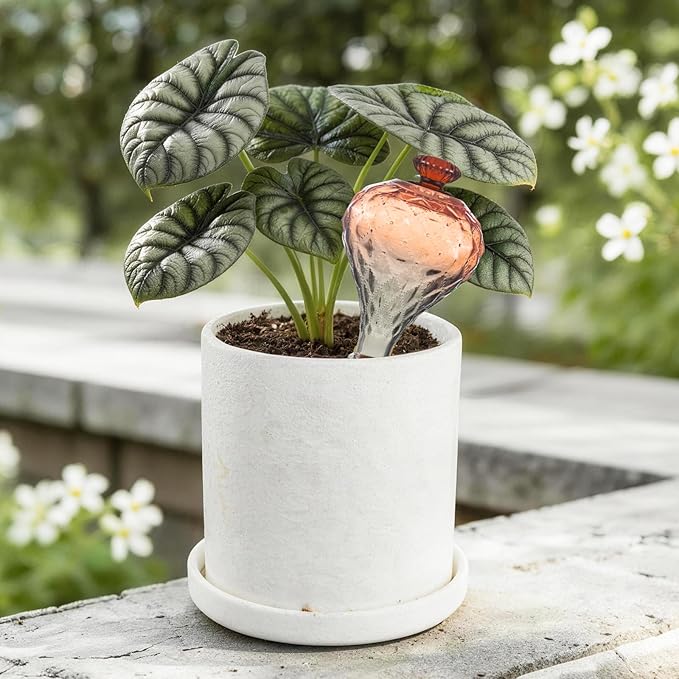 12 oz Plant Watering Globes, Red Glass Self Watering Bulbs Top Fill with Terracotta Spikes Stake, Self Watering Planter Insert Vacation Automatic Plant Waterer Device for Indoor & Outdoor 2Pack