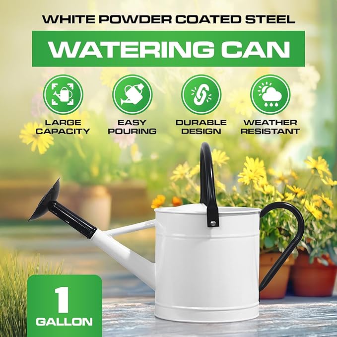 Plexon Metal Watering Can Outdoor 1 Gallon, Flower Plant Gardening Garden Large Watering Can Pot, Black Galvanized Steel Handles and Removable Spray Spout, White