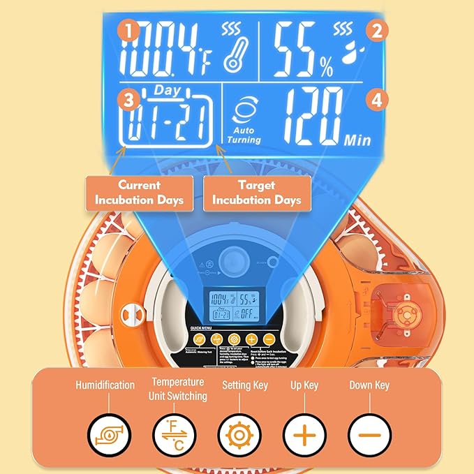 26 Incubators for Hatching Eggs Smart Voice Control Incubator with Auto Temp Humidity Automatic Egg Turning 360° View Built in Egg Candler and Chick Holding Area for Chicken Duck Goose Quail Eggs