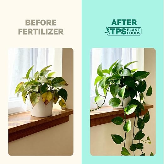 Indoor Plant Food – Liquid Fertilizer for Houseplants, New Growth, Greener Leaves, and Strong Roots, 1 Gallon