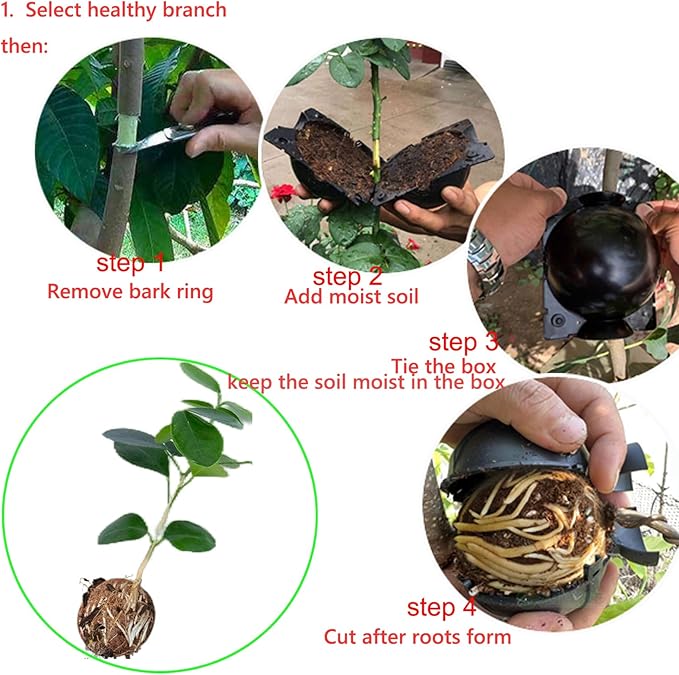 Tree Root Growing Box – Air Layering Propagation Pods for Woody Plants, Reusable Transparent Rooting Device for Magnolia, Fig, Citrus & Roses (10pcs Small, 3–9mm Branches)