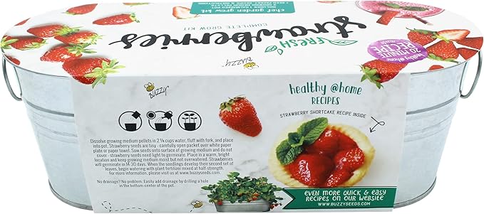 BUZZY Seeds 2-Pack Windowsill Grow Kits, Strawberry and Organic Herb Gardening Set with Basil, Cilantro, Chives, Non-GMO Seeds, Growing Medium and Planters, Housewarming Gift Idea