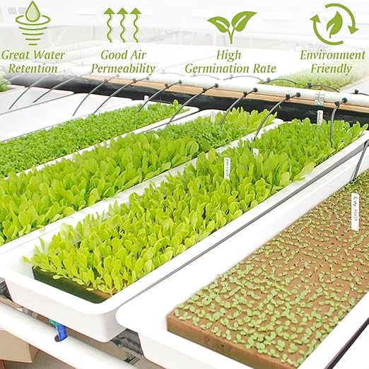 Halatool 1 Inch Rockwool Cubes Garden Rock Wool Stonewool Grow Cubes Starter Plugs for Hydroponics Soilless Cultivation Clone Plants Germination Start (6 Sheets, 300 Plugs in Total)